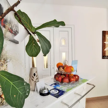 Vanilla With Heated Pool Zadar