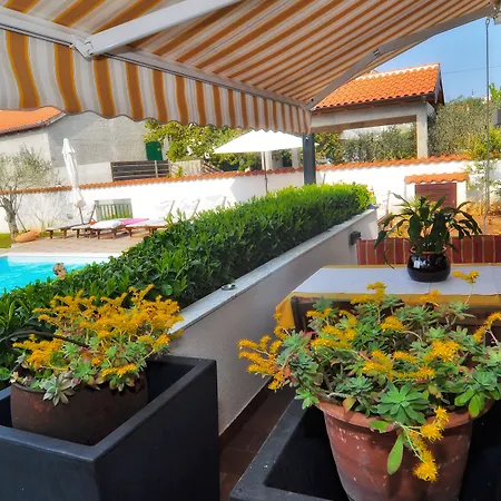 Vanilla With Heated Pool Appartement Zadar